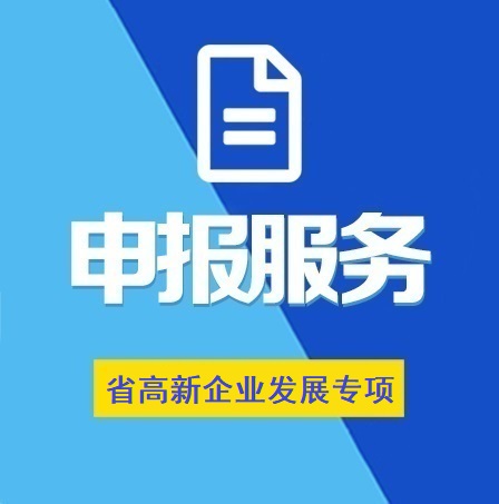 湖北省支持高新技術企業(yè)發(fā)展專項資金項目